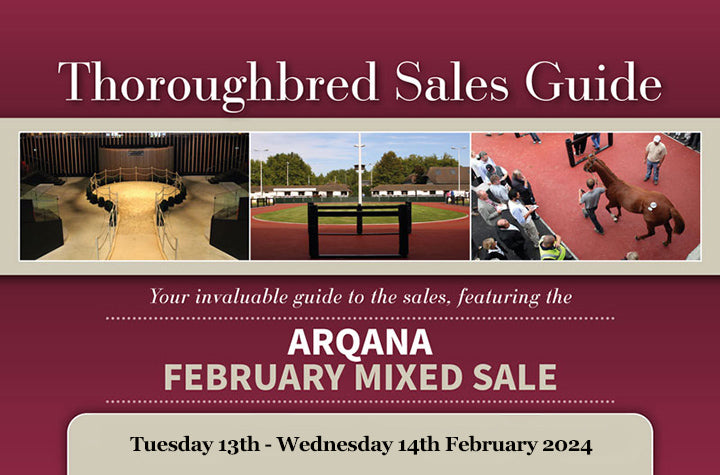 Arqana February Mixed Sale 2024 - PDF