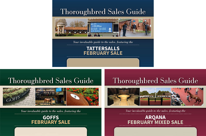 February Sale Package 2024 - PDF