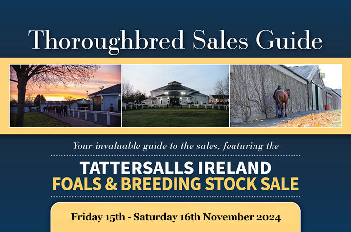 Tattersalls Ireland Sapphire Sale (Foals & Breeding Stock Sale) 2024 - PDF