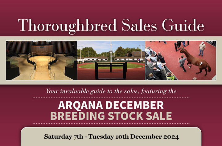 Arqana December Breeding Stock 2024 - PDF