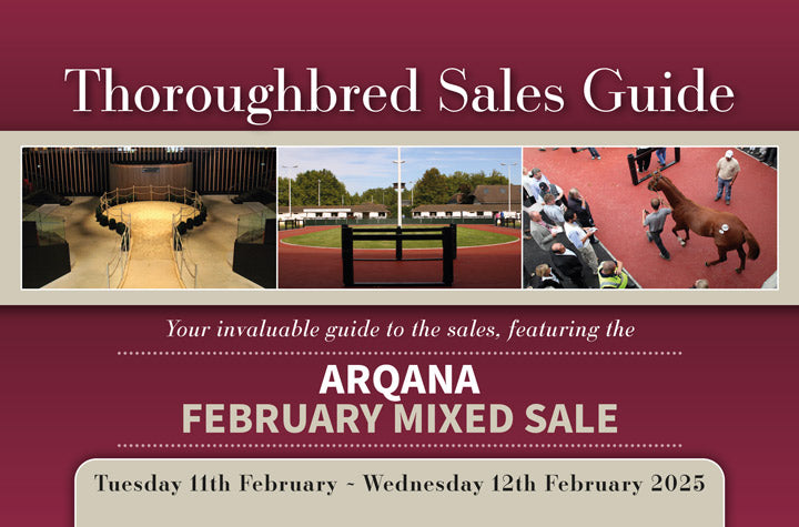 Arqana February Mixed Sale 2025 - PDF