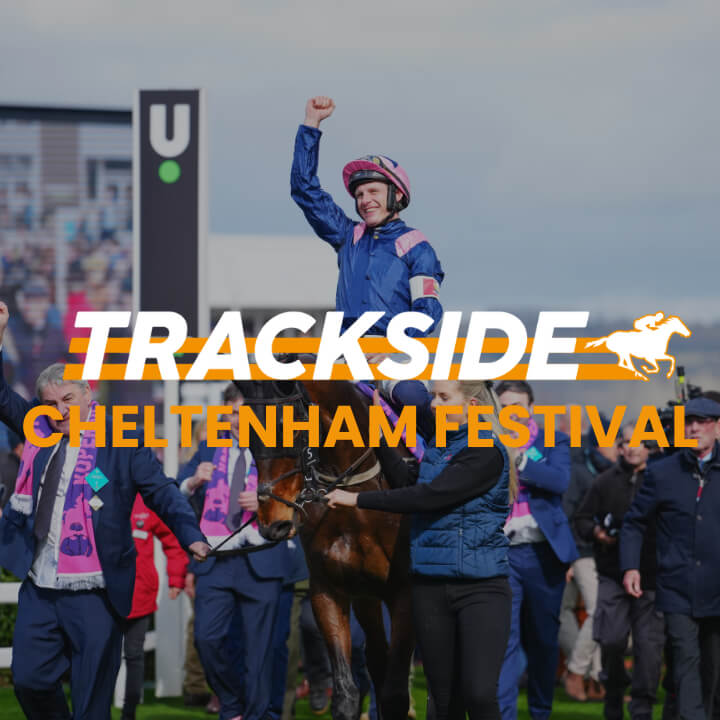 Trackside - Cheltenham Festival 2026
