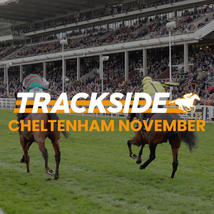 Trackside - November Meeting, Cheltenham 2025