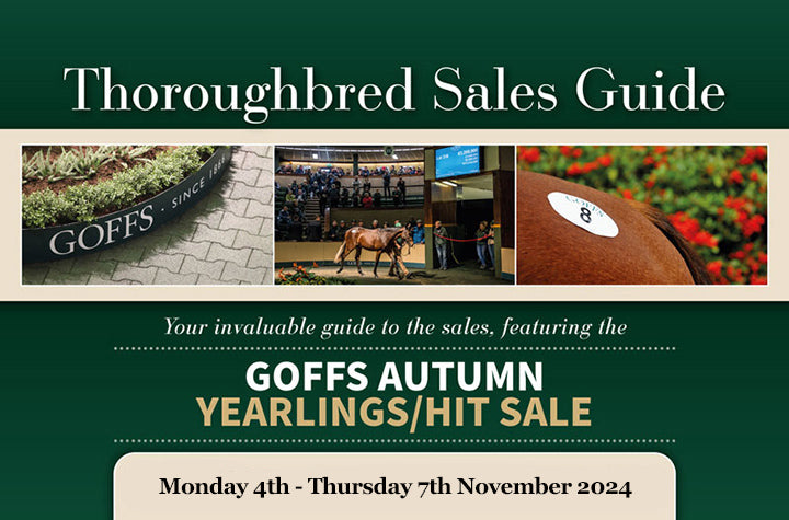 Goffs Autumn Yearlings/HIT Sale 2024