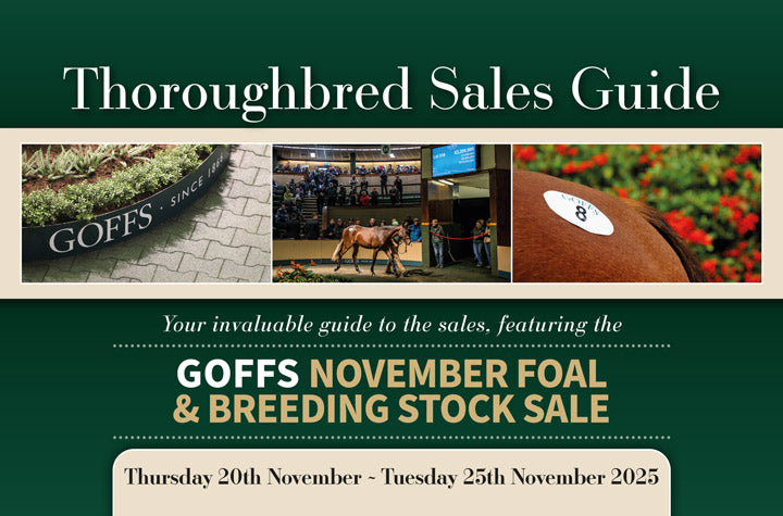 Goffs November Foals & Breeding Stock 2025