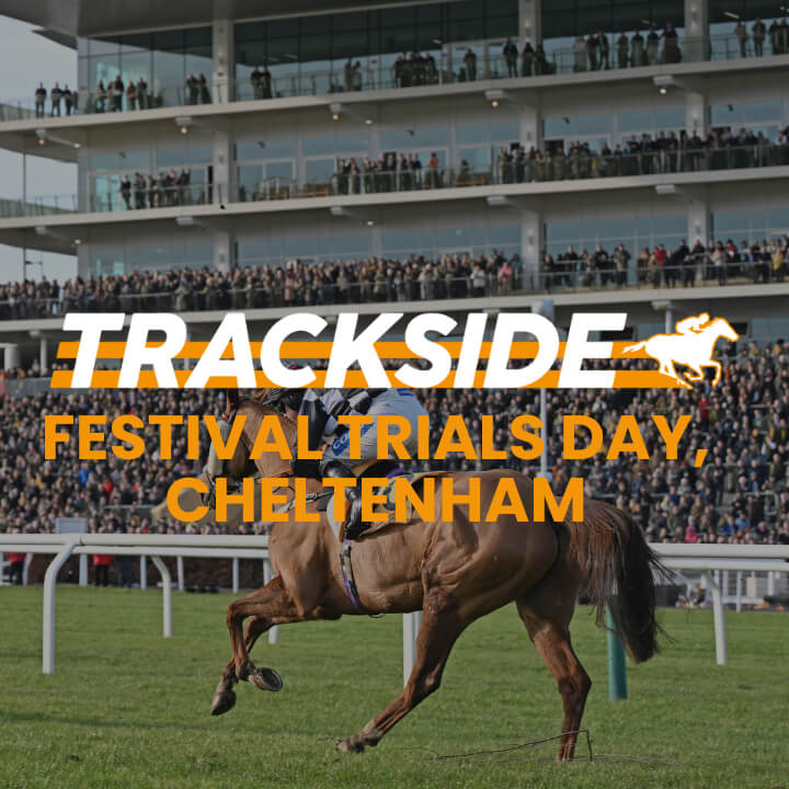 Trackside - Festival Trials Day, Cheltenham 2026
