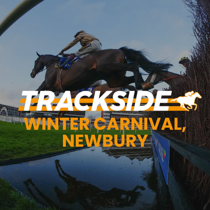 Trackside - Winter Carnival, Newbury 2025