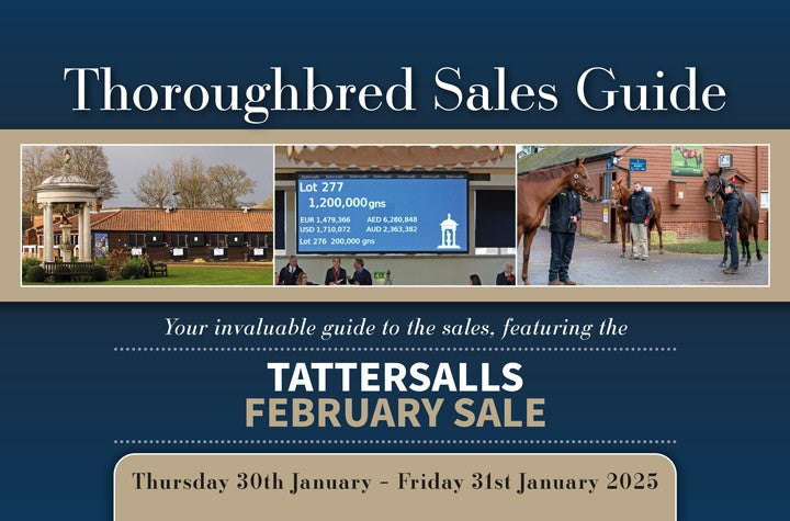 Tattersalls February Sale 2025 - PDF