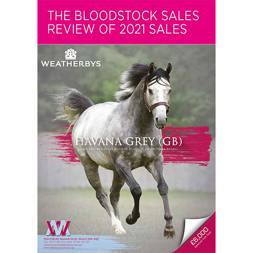 Bloodstock Sales Review - Part 2 2021