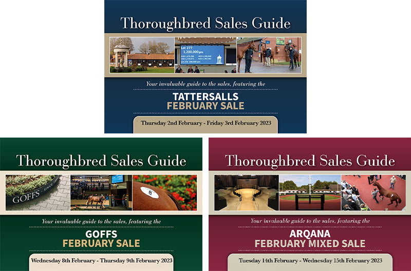 February Sale Package 2023 - PDF