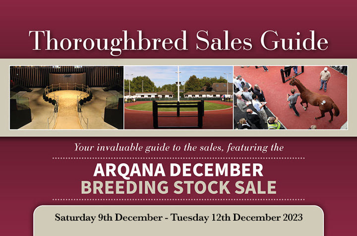 Arqana December Breeding Stock 2023 - PDF
