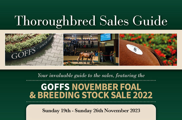 Goffs November Foals & Breeding Stock 2023