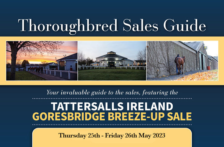 Tattersalls Ireland Goresbridge Breeze-Up 2023 - PDF